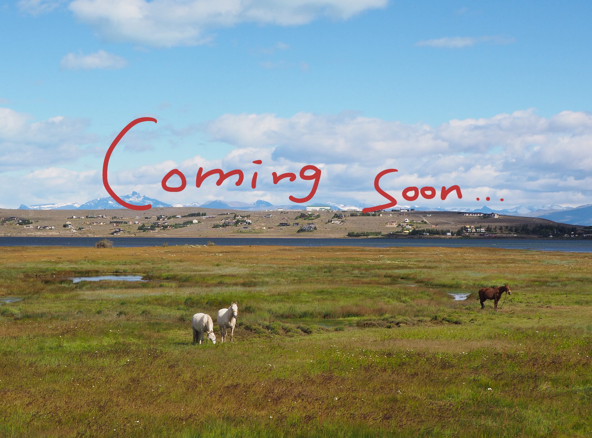 アルバニア料理