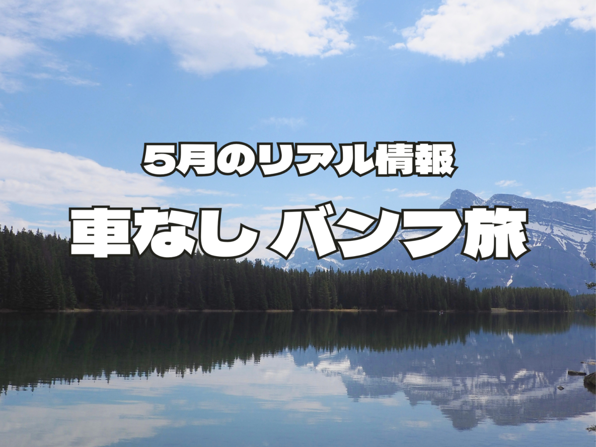車なしバンフ観光